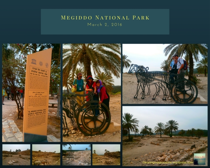Megiddo National Park -March 2, 2016.jpg